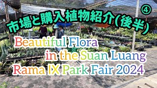 【タイの植物フェア】④Beautiful Flora in the Suan Luang Rama IX Park Fair 2024 市場、購入植物紹介編(後半)