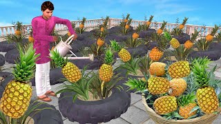 Pineapple Farming Hindi Kahani Hindi Moral Stories Tyre Pineapple Farming New Funny Comedy Video