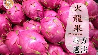 【夏】火龍果的挑選方法 │台灣好食曆