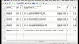 SPSS Inferential Analyses