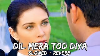 Dil Mera Tod Diya | [Slowed + Reverb] | Kasoor | Alka Yagnik | HUNARBAAZ MUSIC