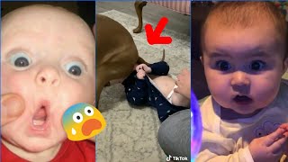 Try Not To Laugh Challenge | Funny Kids Fails TikTok compilation 2020 | Cutest Babies Ever