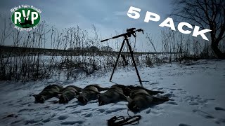 Wisconsin Thermal Coyote Hunt - 5 Pack