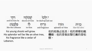 Hosea 14: Hebrew interlinear audio Bible 希伯來文聖經:何西阿書十四章