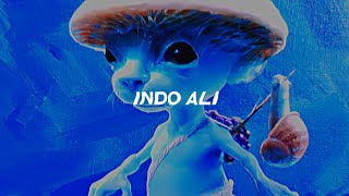 música do indo ali