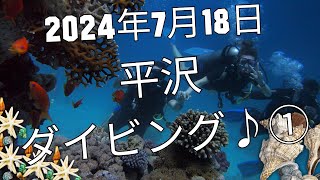 【スタッフ】2024年7月18日平沢ダイビング♪①【スキューバダイビング】【マンツーマン】