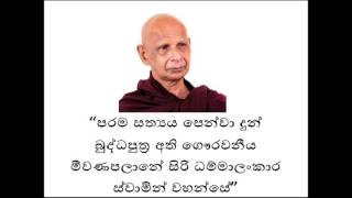 අප උපන් මේ බුද්ධ භූමියෙහි සත්‍යය කතාව