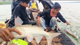 আজ সুন্দরবনের নগেনের কোনায় বড়শি দিয়ে মাছ ধরলাম ।।Sundarban Fishing.