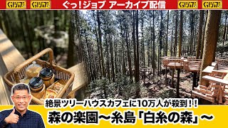 森の楽園・糸島「白糸の森」　絶景ツリーハウスカフェに10万人が殺到 ／ぐっ！ジョブ・アーカイブ（2024年5月4日放送）