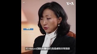 高歌：对国际刑警组织感到愤怒