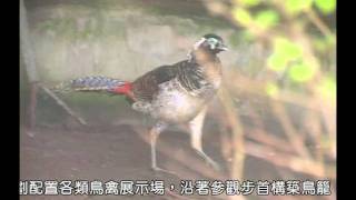 鳳凰谷鳥園