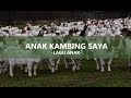 Caca Marica Hey Hey || Lirik Lagu Anak Kambing Saya