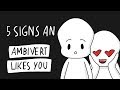 5 Signs an Ambivert Likes You