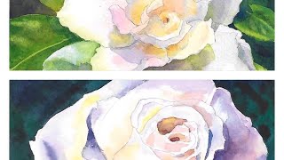 White Flowers in Watercolour