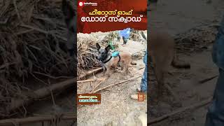 ഹീറോസ് ഒഫ് ഡോഗ് സ്‌ക്വാഡ്  | dog squad | wayaland landslide | kairalinews