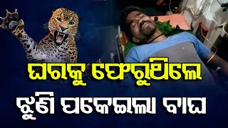 ଘରକୁ ଫେରୁଥିଲେ ଝୁଣି ପକେଇଲା ବାଘ  | Odisha Reporter