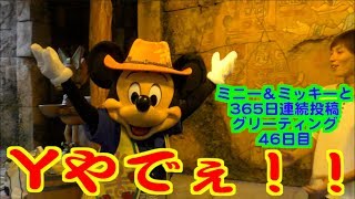 ミニー＆ミッキーと365日連続投稿グリーティング46日目〜Yやでぇ！〜