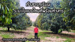 ทำสารทุเรียนระยะใบแบบไหนที่พร้อมทำสาร 