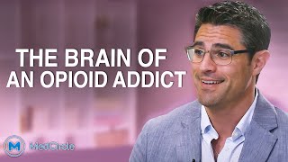 Opiates | Affects on the Brain