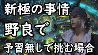 [FF14]初心者向け！最新の極でネタバレ食らってモヤモヤ？極の情勢話します