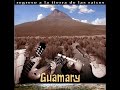 guamary ✨ regreso a la tierra de las raíces🎼