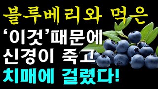 블루베리와 절대로 함께 먹지마세요! 암과 치매에 걸릴 수 있습니다! 블루베리와 먹으면 최악의 궁합 3가지와 건강지키는 최고의 음식 3가지까지 [블루베리효능, 건강 정보]