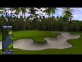 Golden Tee Shots of the Year