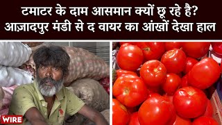 Why Are Tomato Prices Sky-Rocketing?The Wire’s Ground Report From Azadpur Mandi