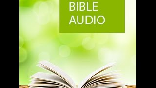 Free download  All books of the Bible in English
