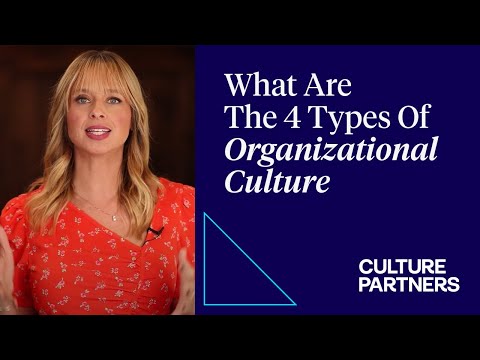What are the four types of corporate culture?