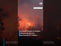 Wildfires ravage Algeria | DW News