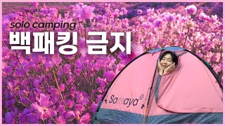 (솔로캠핑) 비슬산 캠핑 백패킹 금지 / 참꽃 군락지 일출 등산 / 대중교통 캠핑 / 대구 캠핑장추천 / 비슬산 숲속 오토 캠핑장 자연휴양림 / 캠핑용품