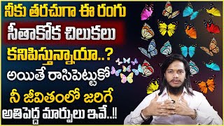 Vibrant Vamsi :The Message From The Universe When You See A Butterfly | Law Of Attraction |Aha Money