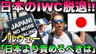 【 海外の反応】ノルウェー捕鯨疑問「なぜ日本ばかり責めるの！」IUCN国際自然保護連合を外国人が知らなかった真実に様々な声!お隣さんは日本の４倍の世界1位捕鯨大国なのに 【IWC脱退】