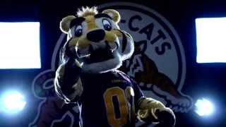 Hamilton Tiger-Cats 2013 Pre Season Intro Video