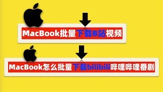 MacBook批量下载B站视频！MacBook怎么批量下载bilibili哔哩哔哩番剧！