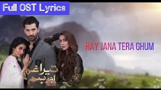 Tera Ghum Aur Hum OST | Full Lyrics | Title Song | Zain Baig | Hajra Yamin | Azekah Daniel | HUM TV
