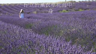 2011初夏~夢想中的普羅旺斯(provence)