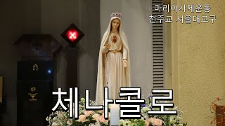 [1월22일] 192 사랑의 거대한 그물 | 고통의 신비