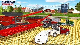 BIG CORN HARVEST ON THE CATTLE FARM! (NEW GRAIN CART \u0026 16 ROW CORN HEAD!) | AMERICAN FARMING