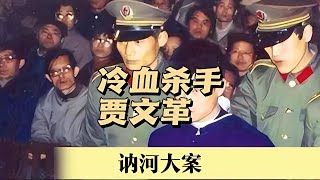 訥河連環殺人案！賈文革的恐怖秘密被揭露了 #案件調查 #懸案密碼 #懸案破解 #懸案調查 #大案