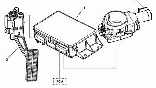 PROGRAMACION DE UN PEDAL Y ACELERADOR ELECTRONICO CALIBER 2008