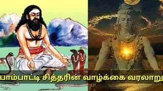 அதிசய சித்தர் பாம்பாட்டி சித்தரின் வாழ்க்கை வரலாறு l pambaatti siddhar life history  #Marudhamalai