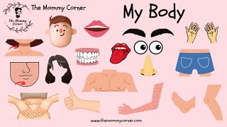 Learn English for Kids | My Body Talking Flashcards | The Mommy Corner