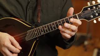 Chinquapin Hunting (D Major): Simple To Complex - Mandolin Lesson