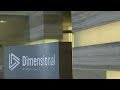 Dimensional Investing