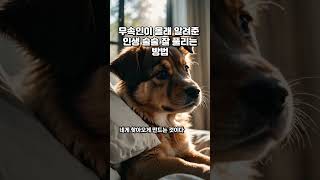 무속인이 몰래 알려준 인생 술술 잘 풀리는﻿방법 - 01