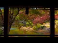 healing video u0026 sound autumn leaves garden to see and listen to when eating tea and dumplings 5h