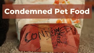 75 Million Pounds of Condemned Animals in Pet Food
