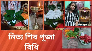 গৃহে শিব পূজা বিধি | সহজ সরল শিব পূজা | গৃহে  সোমবারের শিব পূজা | Living with Sayani